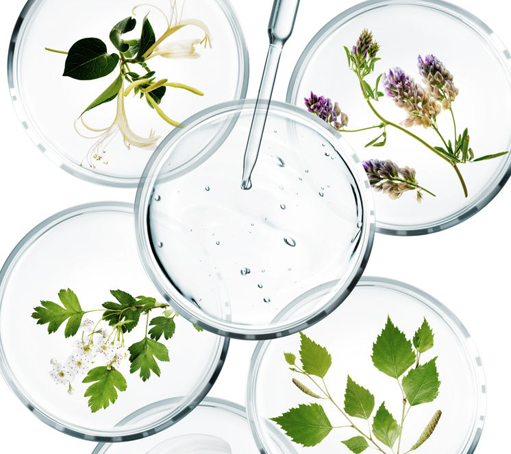 ProductPage_Organics.jpg