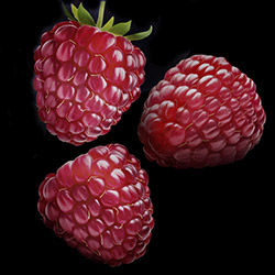 extrait_aqueux_de_framboise_5855.jpg