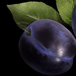 huile_de_prune_biologique_5856.jpg